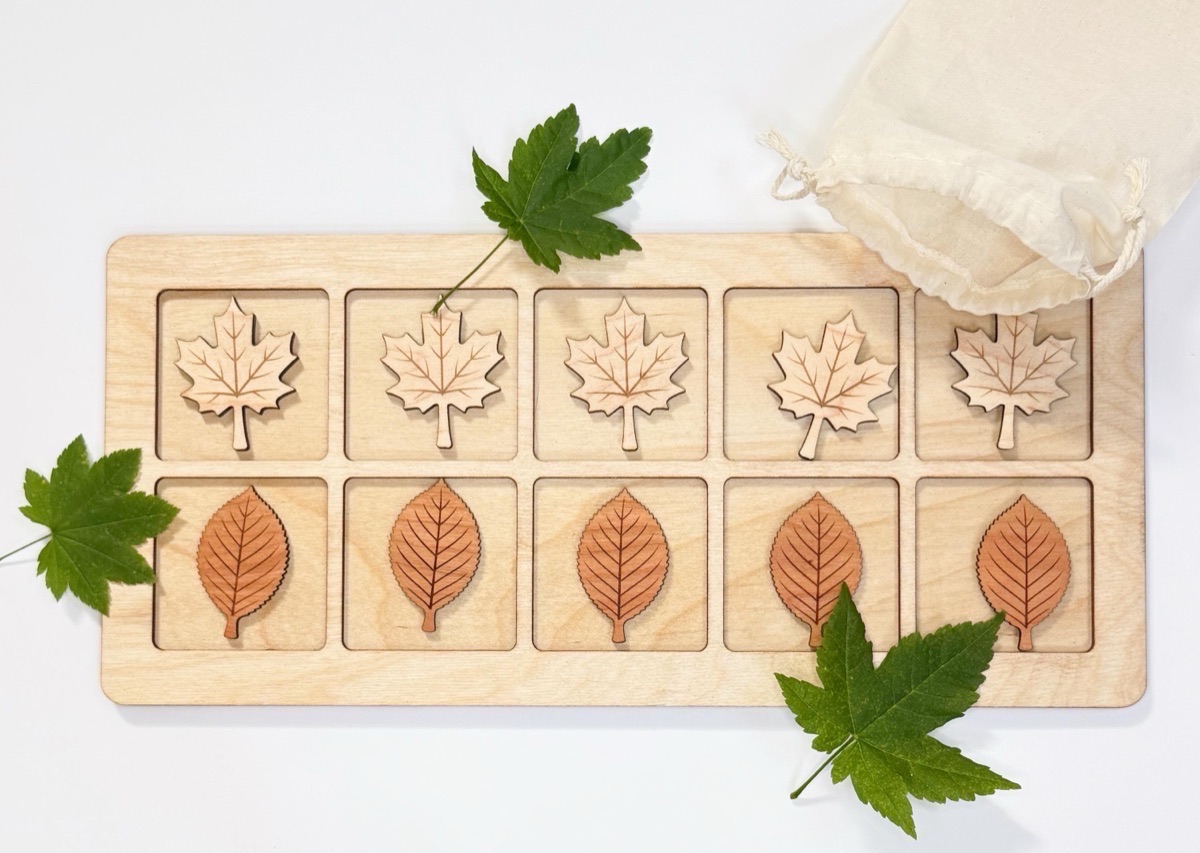 Overhead view of a Baltic birch ten frame holding five pale maple leaves in the top row and five reddish cherry leaves below, each engraved with veins, with two real green maple leaves and an open cotton bag alongside