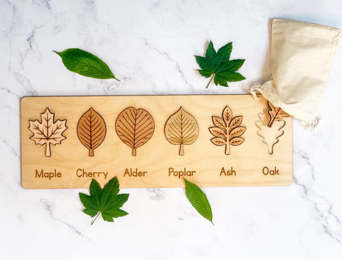 Leaf puzzle with six labeled wooden leaves - maple, cherry, alder, poplar, ash, and oak - the oak piece resting on a muslin bag beside fresh green leaves on marble