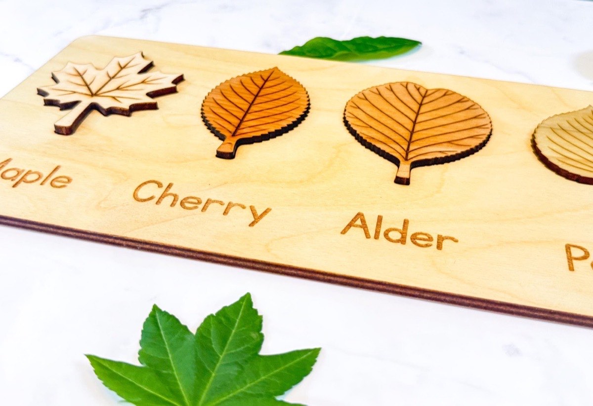 Close-up of the maple, cherry, and alder puzzle pieces in a neutral Baltic birch board, each leaf laser-engraved with realistic veins above its engraved name label
