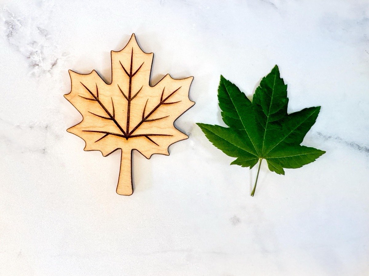 Wooden maple puzzle piece beside a real green maple leaf on a marble surface, showing the laser-engraved vein detail and lifelike lobed shape